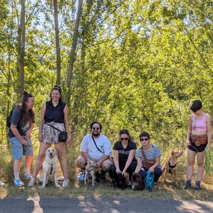 Cours Collectifs & Balades avec To Dog Education
