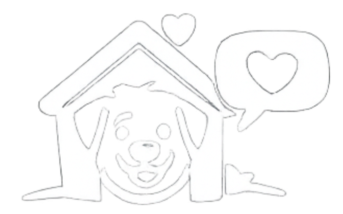 conseil à l'adoption pour choix de race de chien de refuges SPA et chiot adapté 