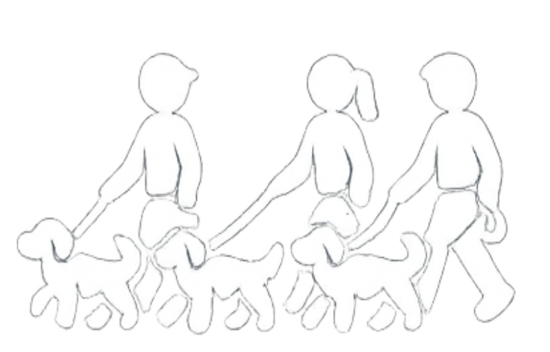 balades collectives en extérieur avec groupe de chiens et plusieurs éducateurs