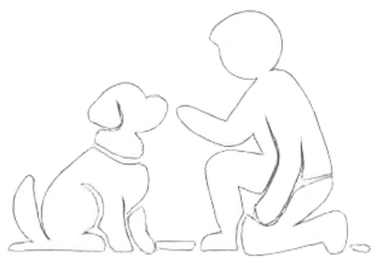 cours individuels à domicile ou en extérieur