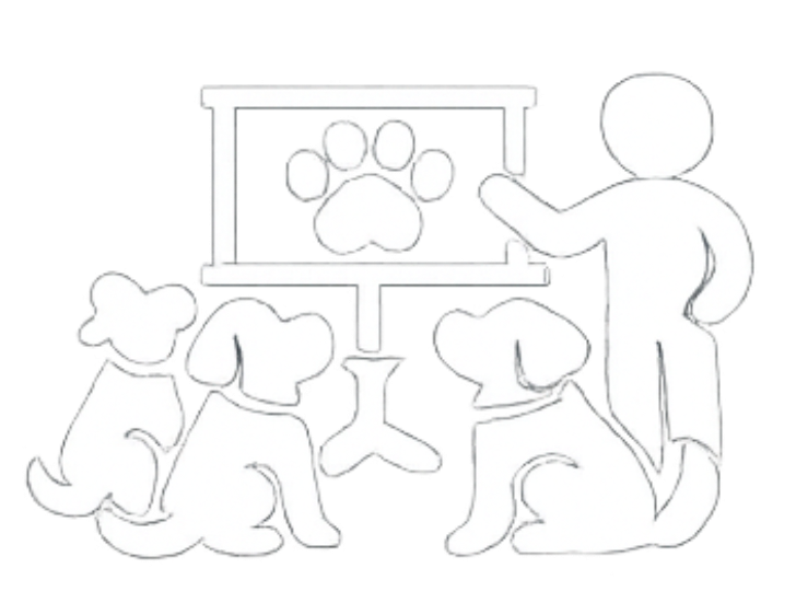 cours collectifs discipline canine mantrailing jeu obéissance