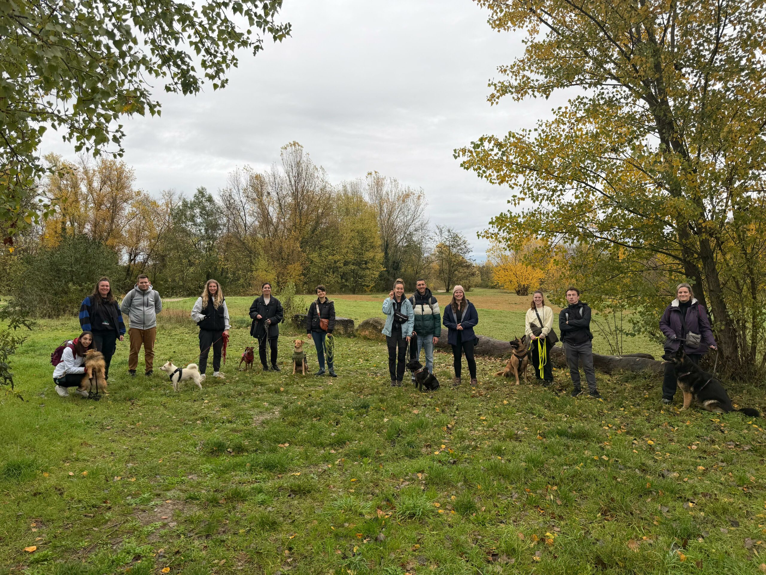 Cours en méthode positive à Lyon