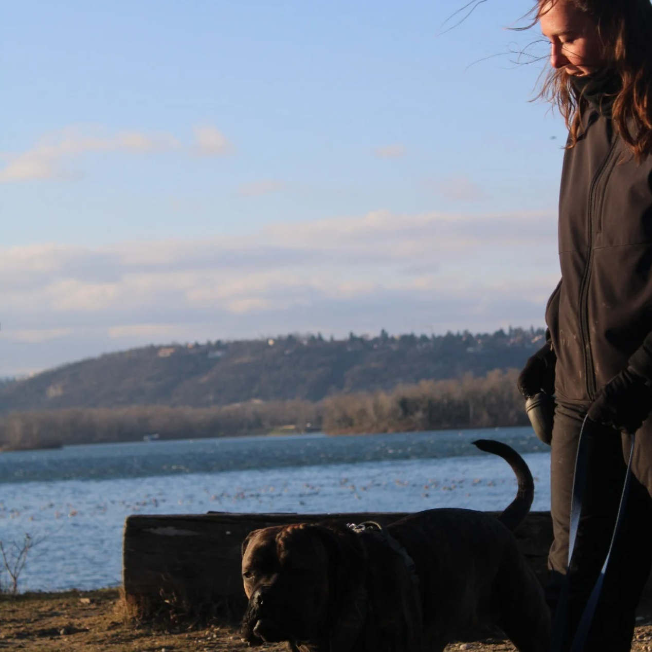 Cours d'éducation canine à Lyon