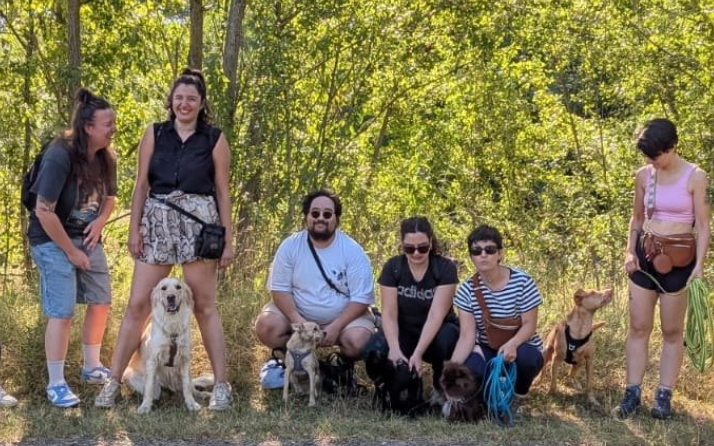 Balade collective en groupe pour l'éducation canine