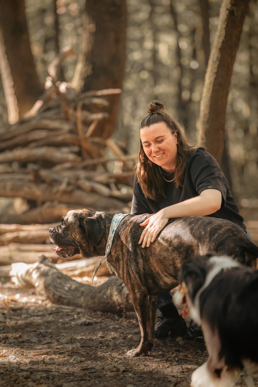 Cours d'éducation pour l'obéissance du chien en méthode positive à Lyon